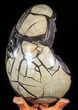 Masive, Septarian Dragon Egg Geode - Cyber Monday Deal! #50823-2